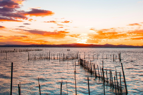 From Valencia: Albufera Natural Park at Sunset with Boat Ride | Small Group From Valencia: Albufera at sunset in a small group with a boat ride