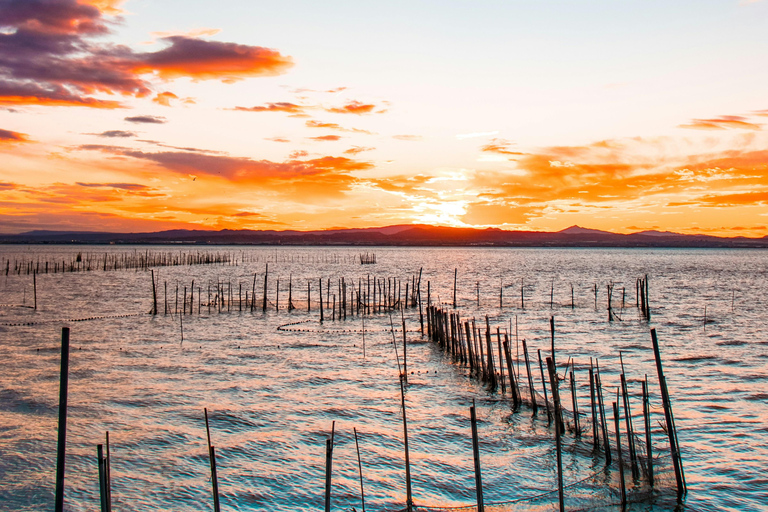 From Valencia: Albufera Natural Park at Sunset with Boat Ride | Small Group From Valencia: Albufera at sunset in a small group with a boat ride