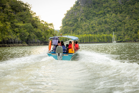 Langkawi:6 Hours Mangrove Night Safari with Pick Up & Dinner
