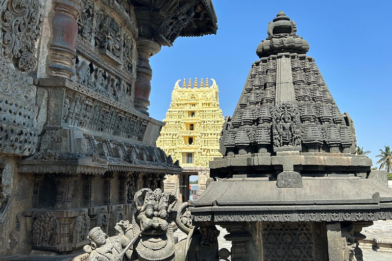 班加罗尔：贝鲁尔/什拉万贝戈拉/咖啡种植园一日游班加罗尔：贝鲁尔/沙瓦纳贝戈拉/咖啡种植园一日游