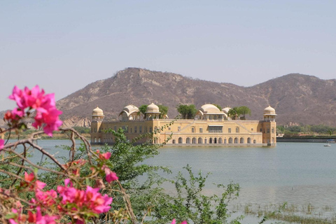 Jaipur Sightseeing 2 Days Tour By Tuk Tuk Ecstatic Pink City Jaipur Sightseeing 2 Days Tour By TukTuk