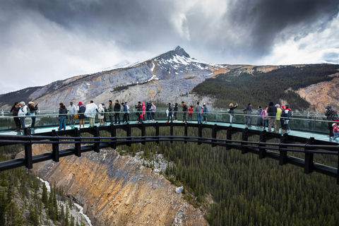 Premium Guided Icefields Parkway Tour: Glaciers and Skywalk