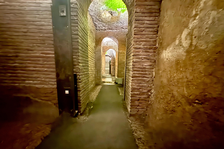 Rome's Hidden Underground Excavations & Colosseum Tour