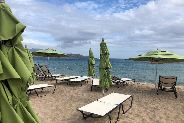 St Kitts:Side by Side Sightseeing Safari and Beach