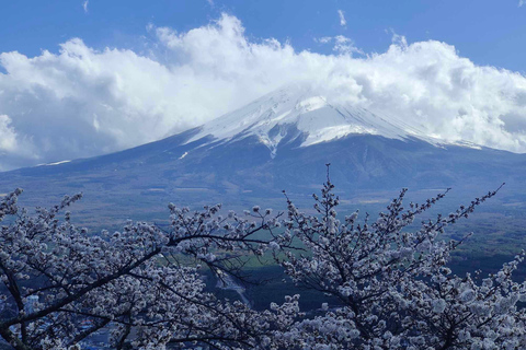 Private guided tour of Tokyo and surrounding area with English-speaking guide