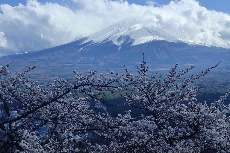 Private guided tour of Tokyo and surrounding area with English-speaking guide