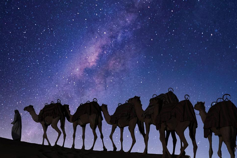 الدوحة: رحلة سفاري ليلية في الصحراء ومشاهدة النجوم والبحر الداخليسفاري ليلي خاص مع مشاهدة النجوم و