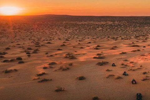 Sonnenuntergangsexkursion nach Ksar Ghilane: Wüstenzauber von Djerba aus