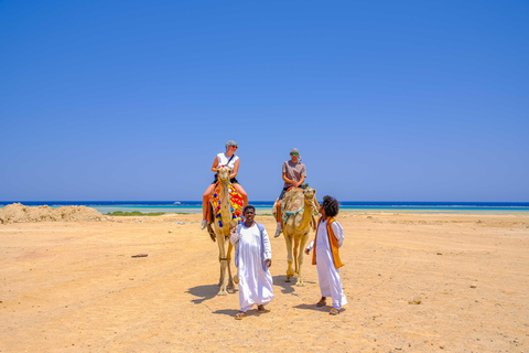 Marsa Alam: Stargazing on the Beach with 4-Ride Safari