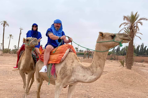 Promenade à dos de chameau dans la palmeraie de Marrakech