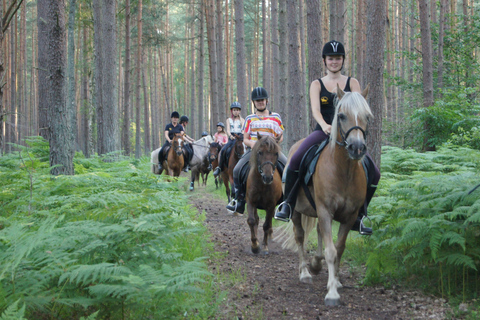 Hirschburg: Horseback riding for beginners