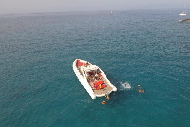 Tenerife: Opera 60 Whale & Dolphin Cruise with Lunch