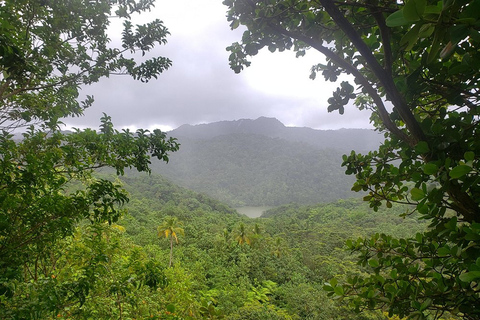 St. Lucia: Bird Watching and Nature Hike