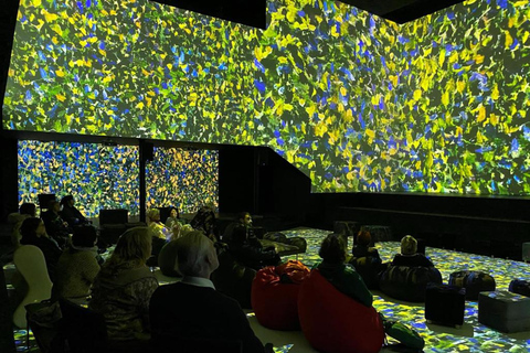 Riga : billet d&#039;entrée à la Digital Art HouseRiga : billet d&#039;entrée à la Maison de l&#039;art numérique