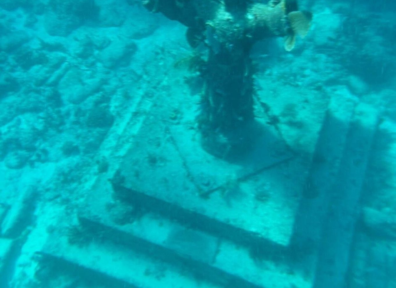Key Largo: Snorkeltur