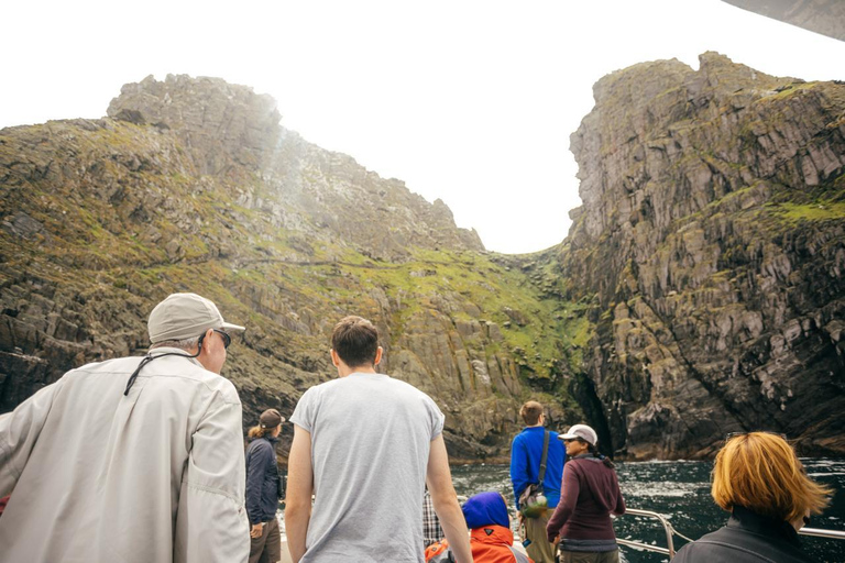 Skellig Michael: Great Skellig Panoramic Boat Tour
