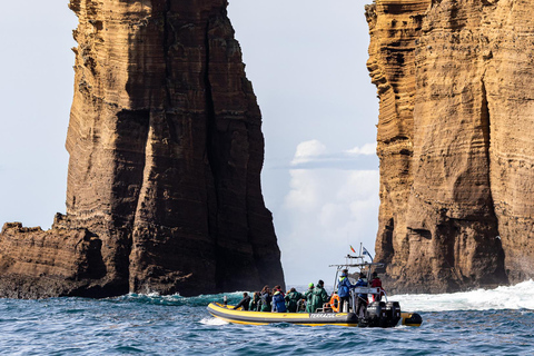 Vila Franca do Campo: Alrededor del Islote Tour en barco guiado