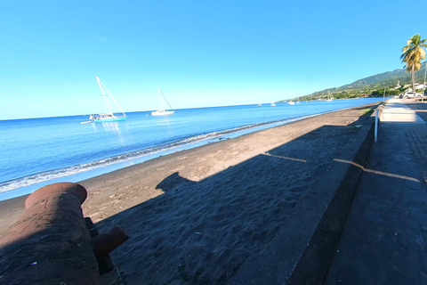 NOORD CARIBISCHE KUST EN TROPISCH WOUD HELE DAG TOUR