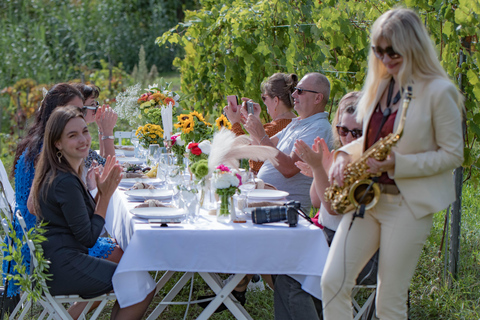 Dinner in the vineyard French Riviera