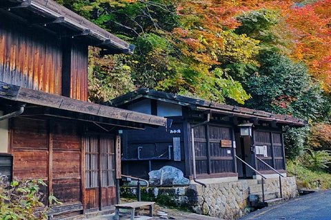 Nagoya to Tokyo | 3 Day Nakasendo & Nagano Highlands Journey