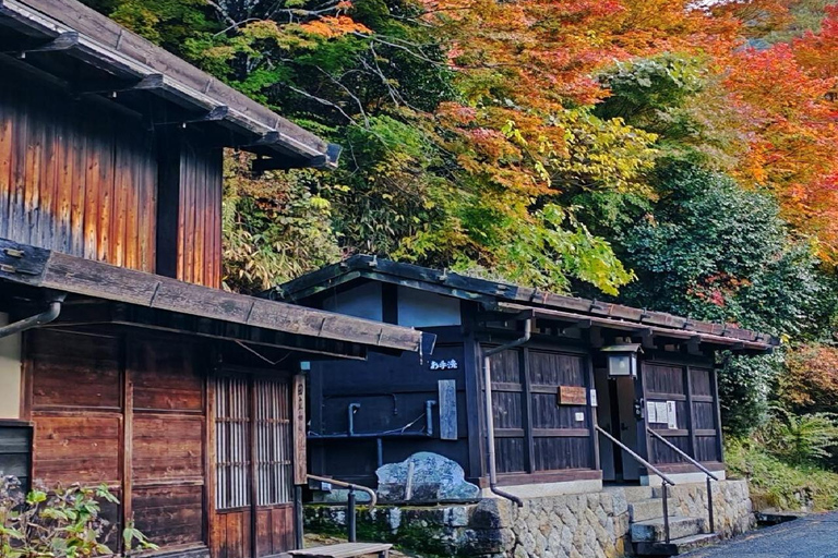 Nagoya to Tokyo | 3 Day Nakasendo & Nagano Highlands Journey