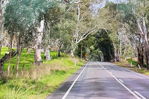 Adelaide Stad Hoogtepunten via Hahndorf Halve Dagen Tour