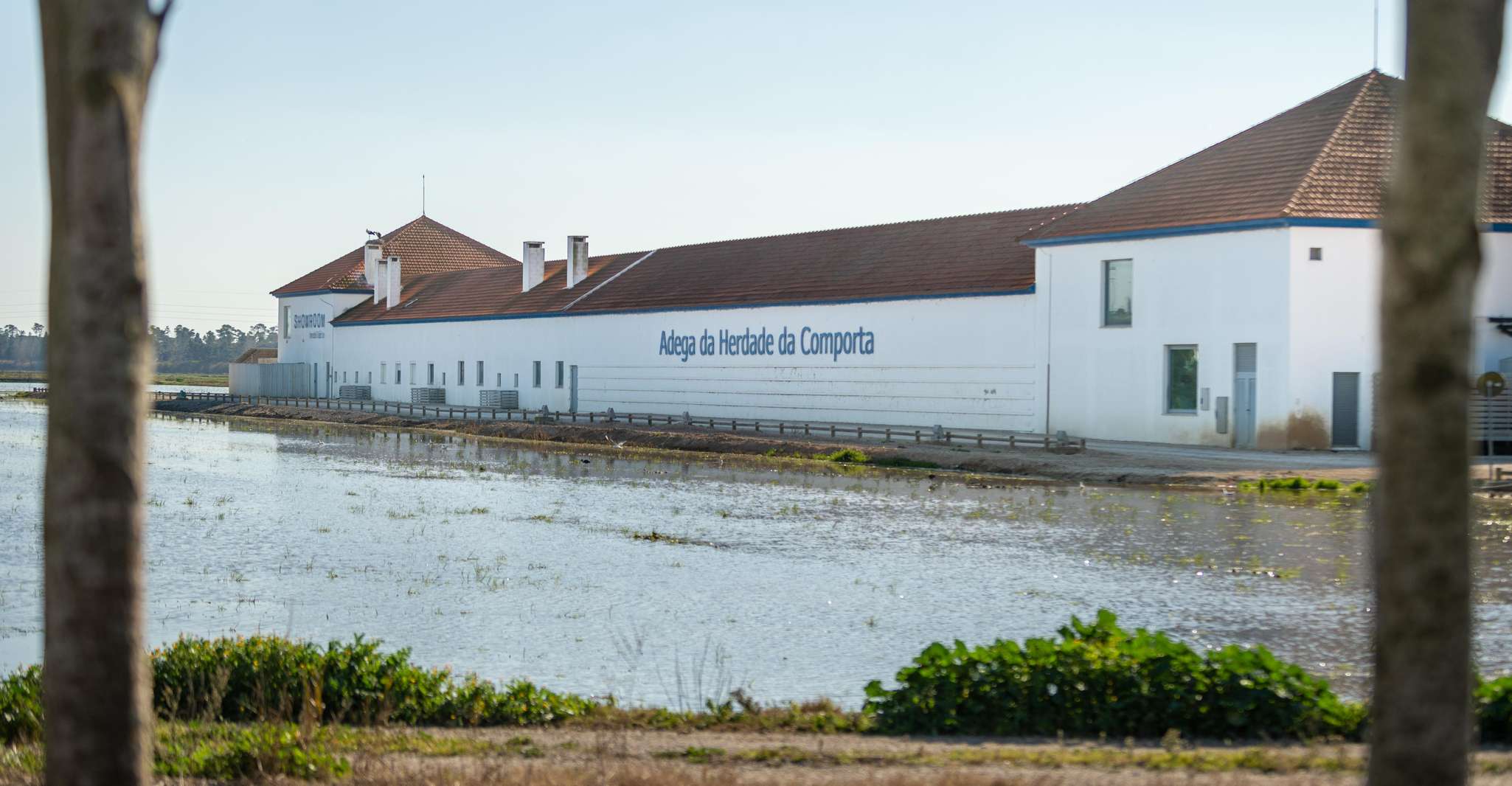 Visita la cantina Herdade Da Bear - Housity