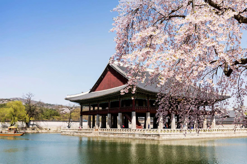 South Korea: 5-Day Private Tour of Palaces, Islands, Beaches Mt Seoraksan private tour & Sokcho beaches & Temples