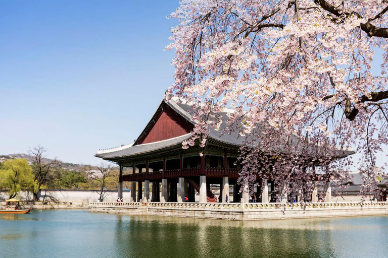 South Korea: 5-Day Private Tour of Palaces, Islands, Beaches Mt Seoraksan private tour & Sokcho beaches & Temples