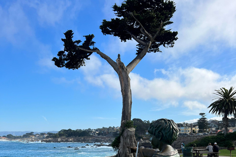 Från San Francisco: Privat rundtur i Carmel, Monterey och Big Sur