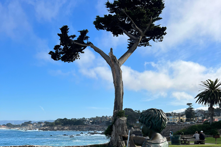 Från San Francisco: Privat rundtur i Carmel, Monterey och Big Sur