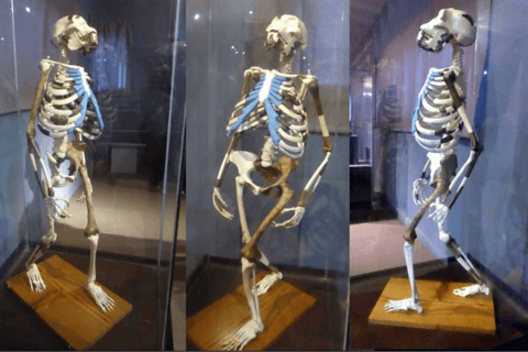 Halbtagestour Addis Abeba Stadtführung mit Flughafentransfer / Hoteltransfer