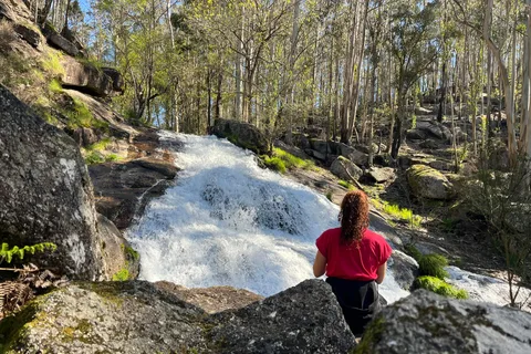 Do Porto: Visita às cascatas da floresta e às ruínas romanas