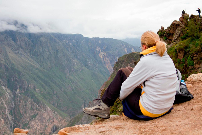 Au départ d'Arequipa : randonnée de deux jours dans le canyon du ColcaDepuis Arequipa : Randonnée de deux jours dans le canyon de Colca