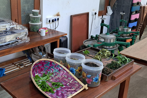 Ella: Organic Tea Plantation Tour with Tea Making & Tasting