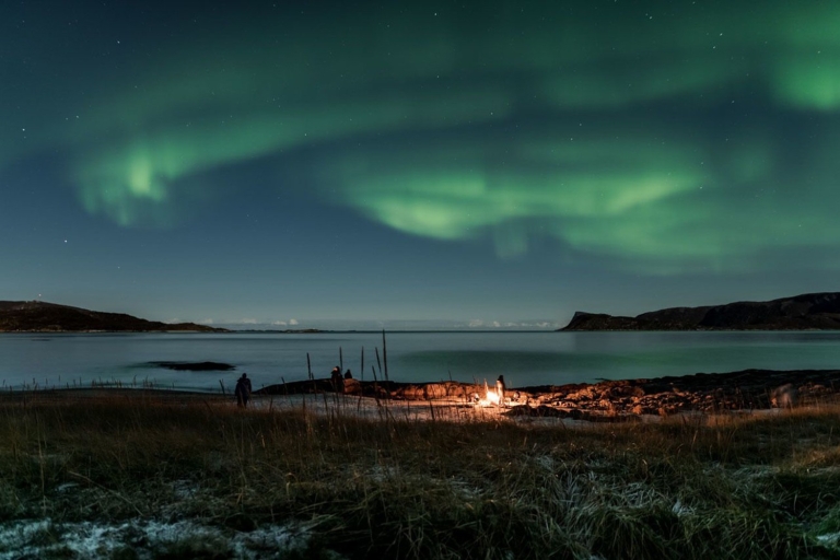Tromsø: tour fotográfico de auroras boreales en 4x4 para grupos pequeños