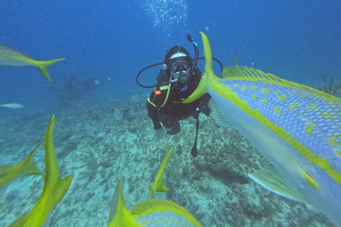 Punta Cana: Discover Scuba Diving Experience for Beginners