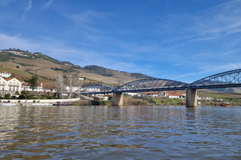 VALLEE DU DOURO : Visite guidée des vignobles, croisière et déjeuner dans un établissement vinicole.Visite privée