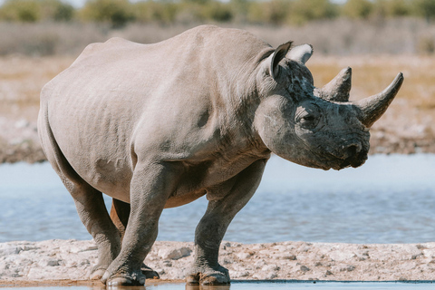Arusha: 3-tägige Tansania Budget-freundliche Camping Safari