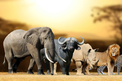 3-Day Kruger Park Safari and Panorama Route