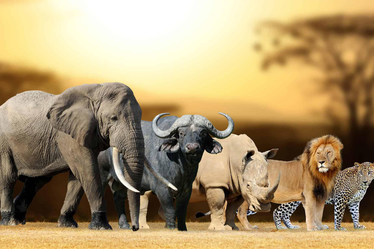 3-Day Kruger Park Safari and Panorama Route
