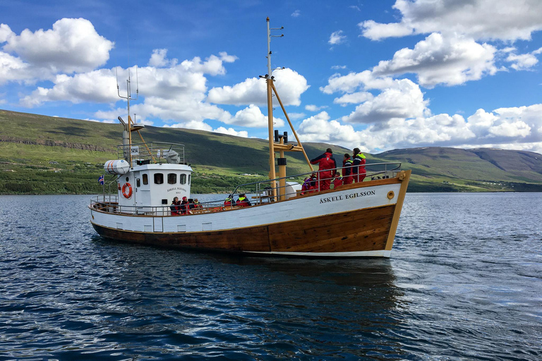 Akureyri: Whale Watching Tour with Transfer from Port
