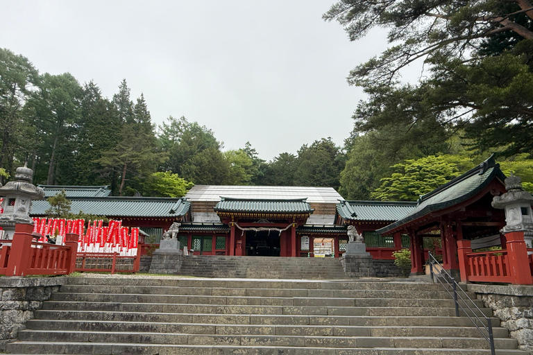 Tokyo: Nikko Private Day Tour with Pickup