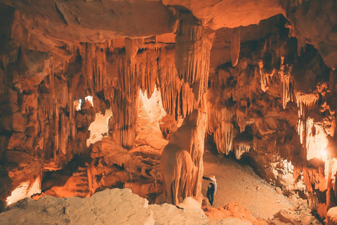 Hanoi: Trang An UNESCO, Mua Cave, Hoa Lu or Dich Long Pagoda GROUP: Hoa Lu, Trang An UNESCO BOAT, Mua Cave, Buffet, Cycle