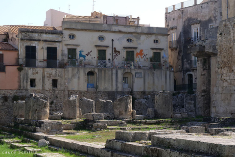 De Catane: visite culturelle et historique de Syracuse et Noto