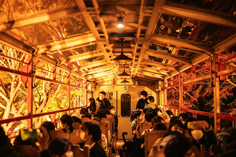 Kyoto: Arashiyama, Sanzen-in & Kifune Shrine Day Trip Departure from Osaka (Basic Package)