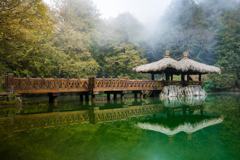 From Taipei: Alishan 2 Days Private Tour