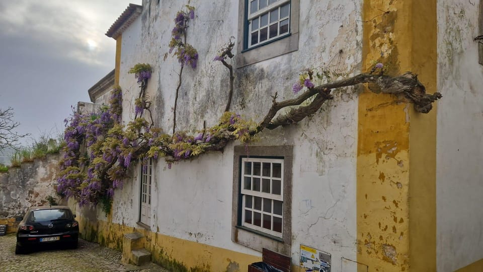 Porto nach Lissabon mit Aveiro Coimbra Fátima Nazaré Óbidos GetYourGuide