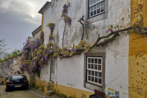 Porto to Lisbon with Aveiro-Coimbra-Fátima-Nazaré-Óbidos 3 STOPS