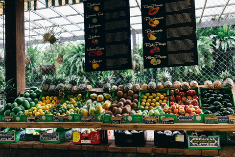 Gold Coast: Tropical Fruit World Tractor Train Tour